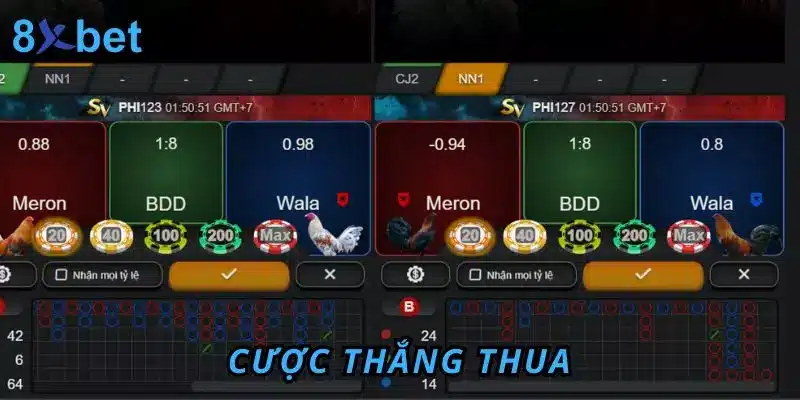 Đá Gà Trực Tiếp 8Xbet - Trải Nghiệm Hấp Dẫn Và Thú Vị Cược thắng thua