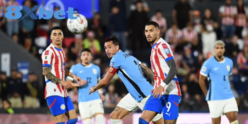 8XBET Hợp Tác Tài Trợ Với Những Câu Lạc Bộ Thể Thao Nào? 8XBET đồng hành cùng nhiều giải đấu quốc tế