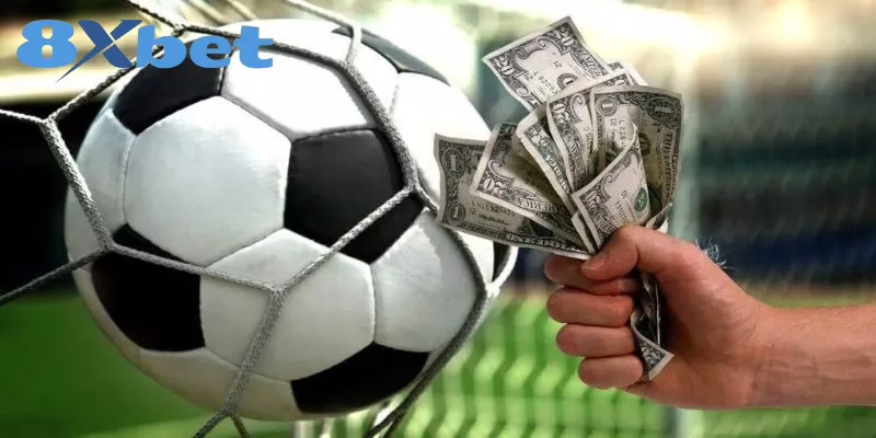 Mẹo Bắt Kèo Châu Á Và Châu Âu Hiệu Quả Tại Nhà Cái 8XBET Kinh nghiệm bắt kèo Châu Âu từ chuyên gia lâu năm
