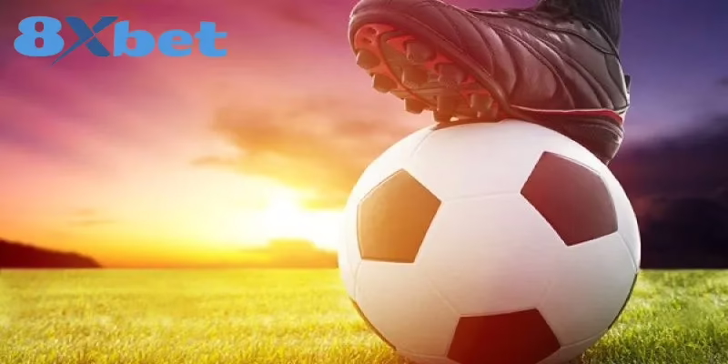 Bật Mí Cách Đọc Tỷ Lệ Kèo Bóng Đá Dễ Hiểu Nhất Trên 8XBET Một số loại tỷ lệ kèo bóng đá được quan tâm hiện nay