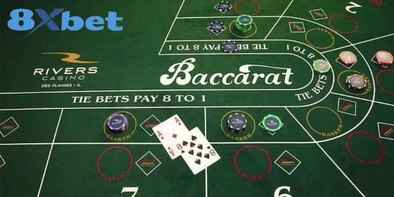 Cách Đọc Cầu Baccarat Chính Xác – Mẹo Của Cao Thủ 8XBET Sai lầm hội viên thường gặp khi đọc cầu Baccarat